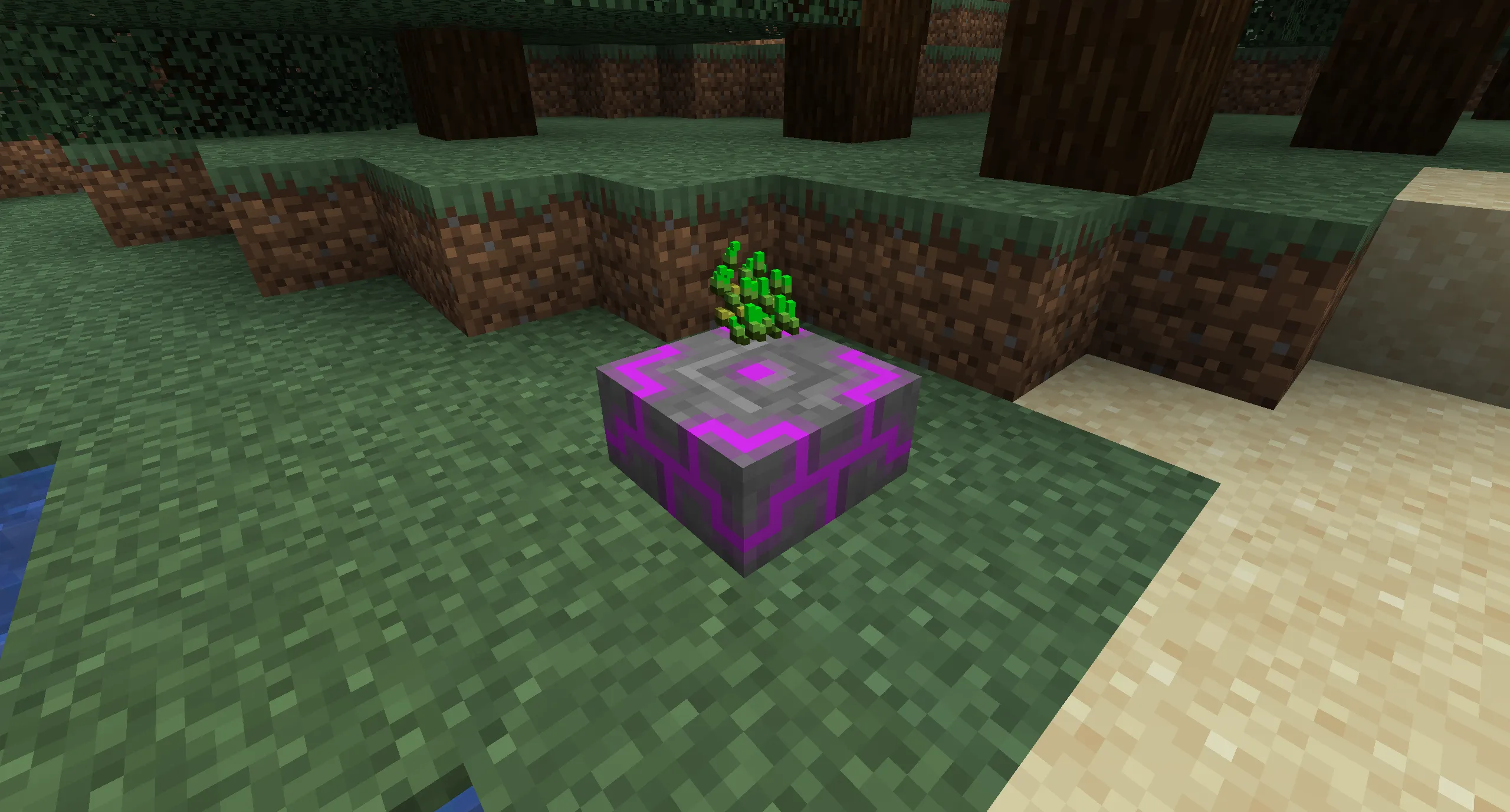 Place Items on Infusor