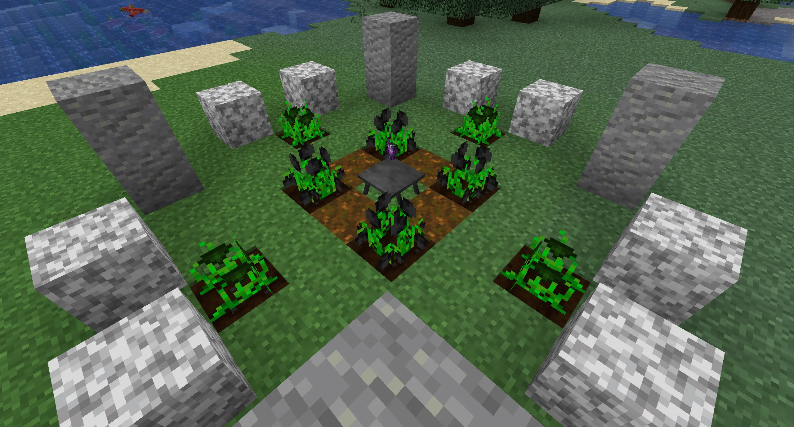 Place Input Item