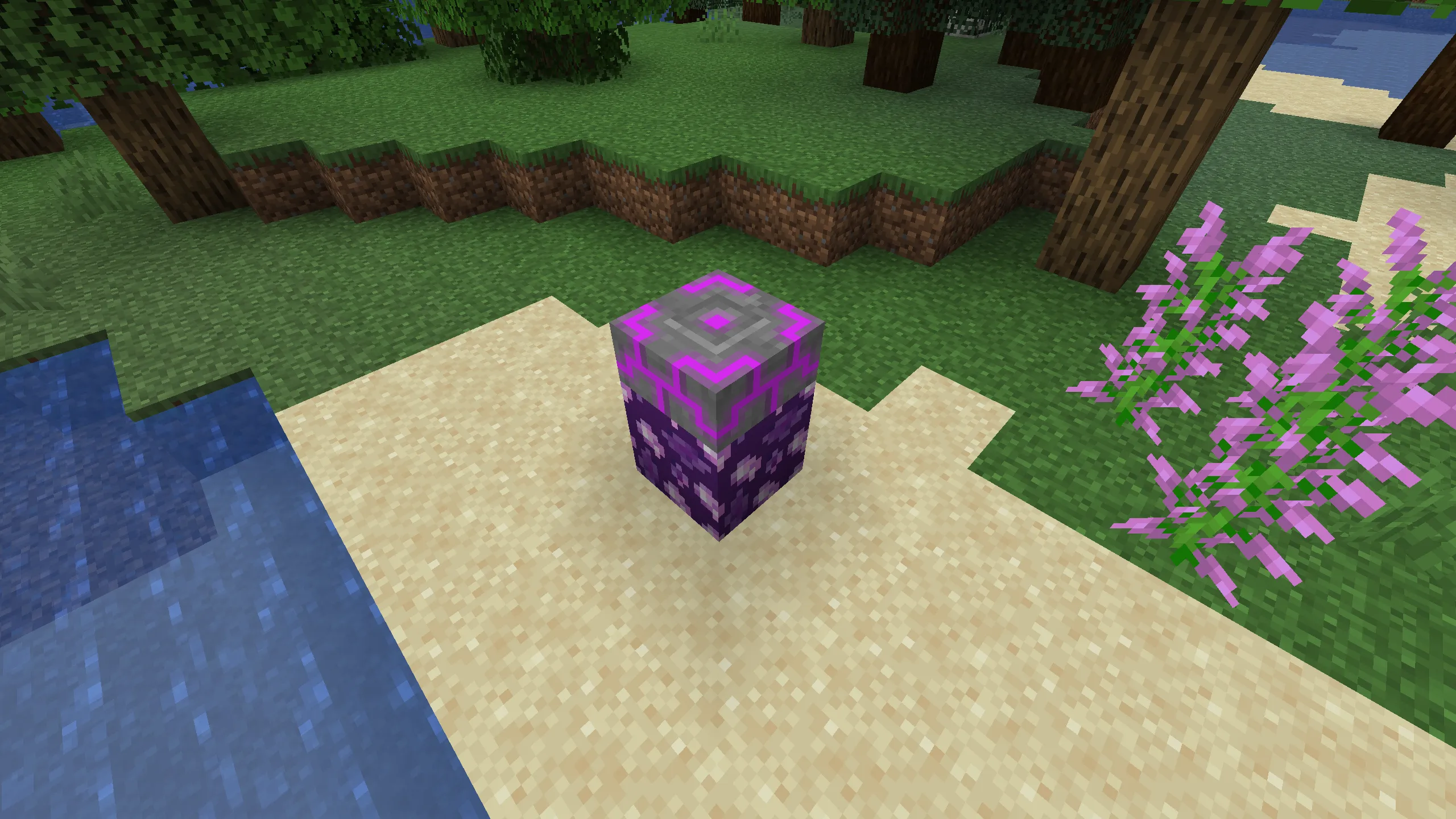 Soak Infusor